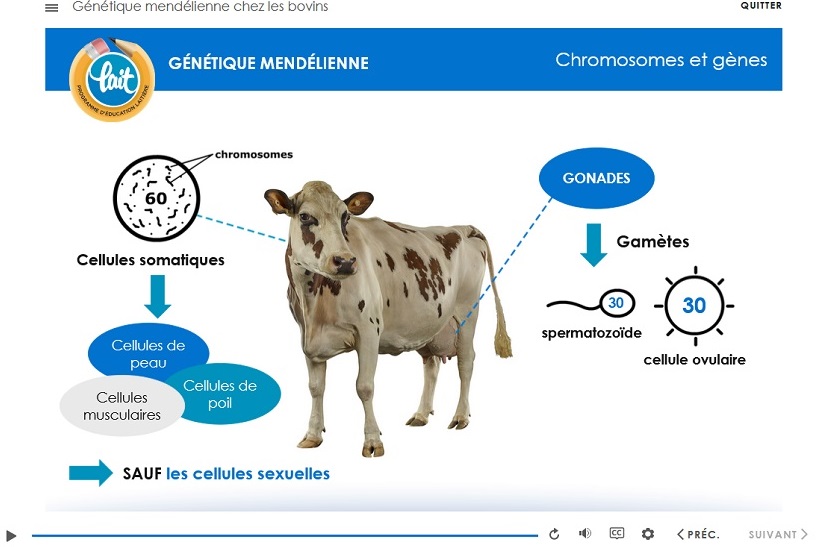 eLearning Course Development for Dairy Farmers